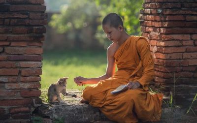 Conseils aux pratiquants de la méditation