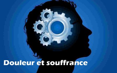 Notion de Douleur et Souffrance dans le Bouddhisme