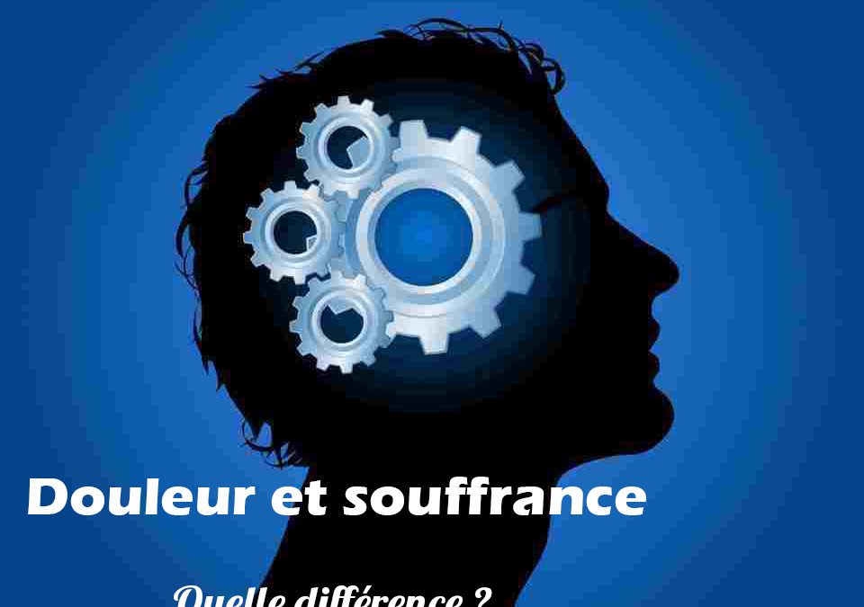 Notion de Douleur et Souffrance dans le Bouddhisme
